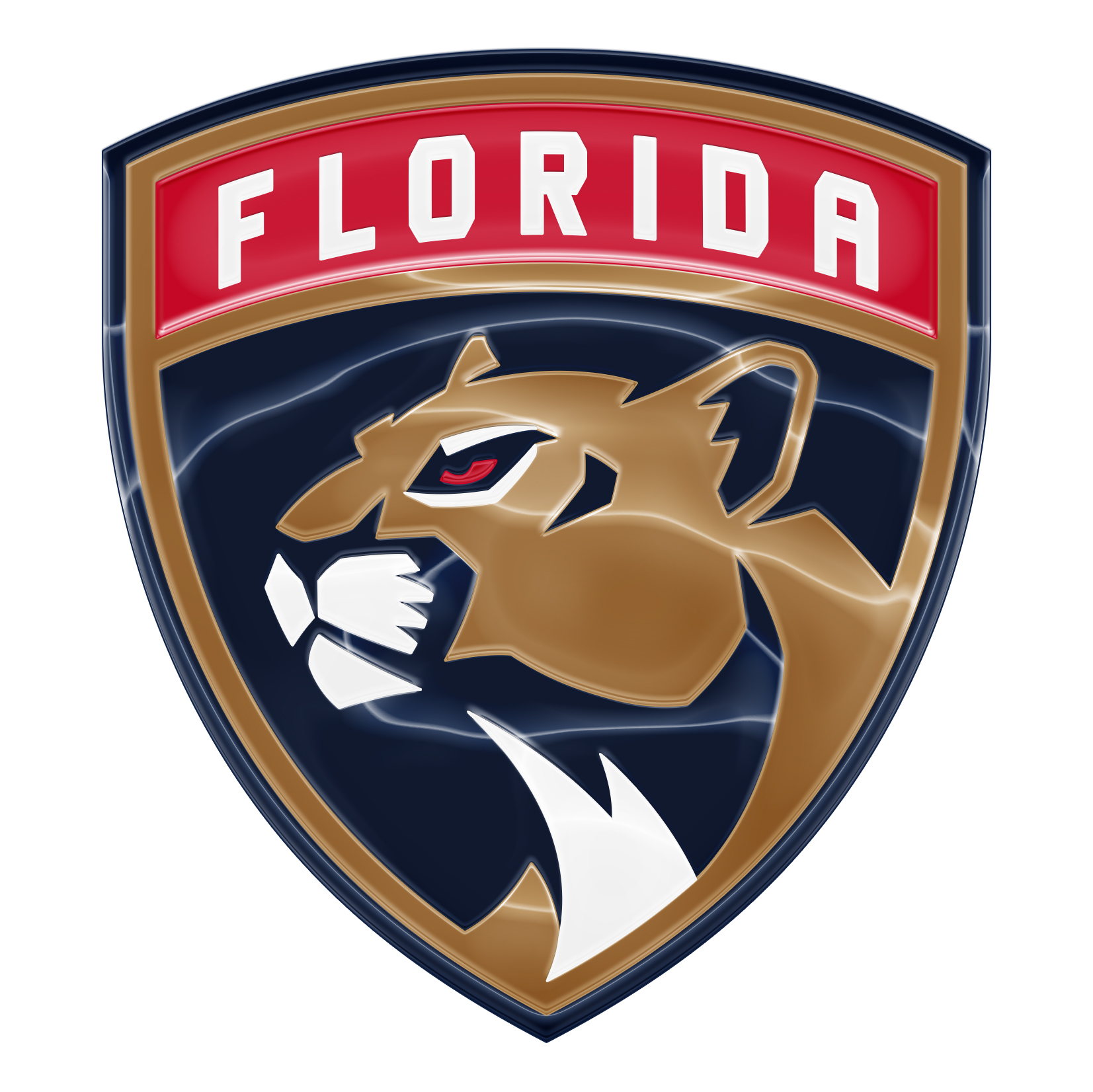 Florida Panthers Crystal Logo iron on paper